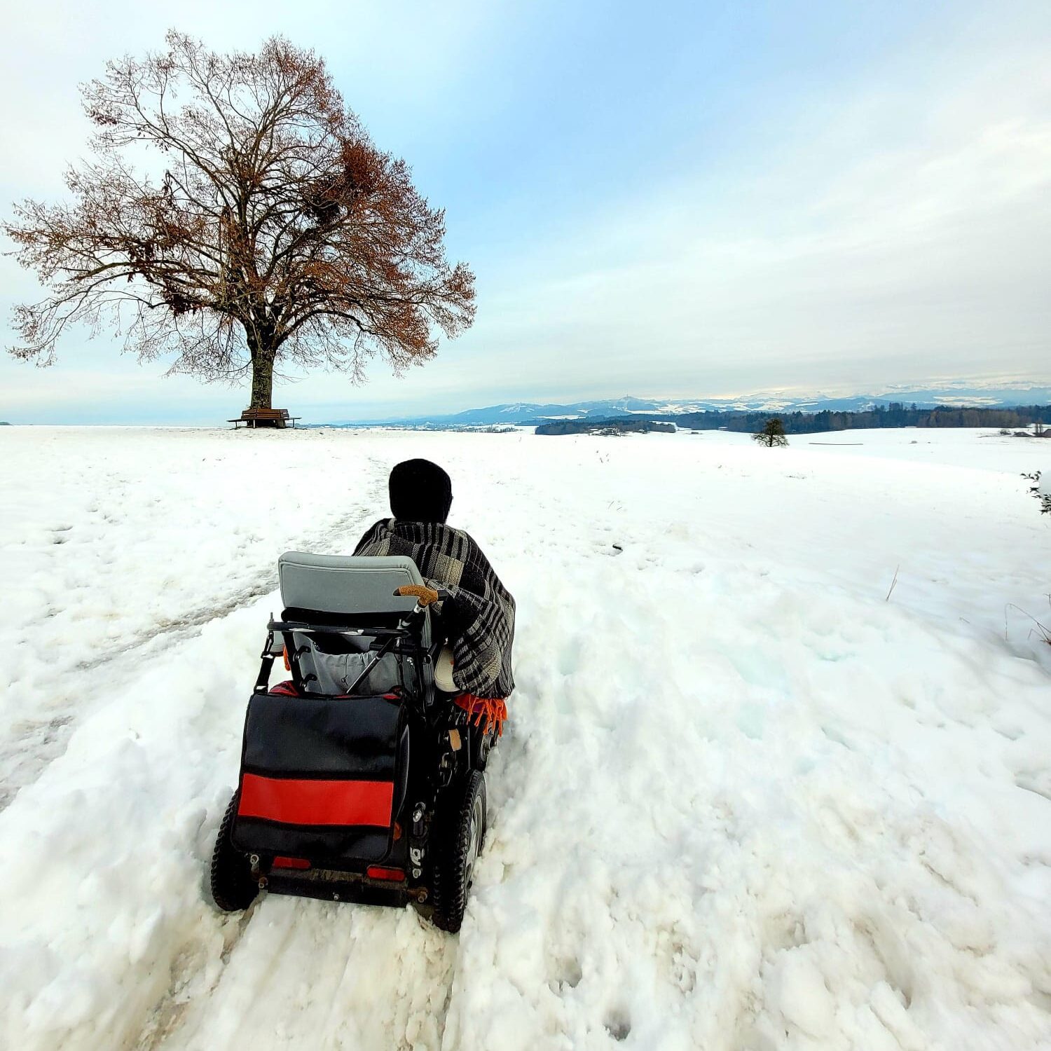 Links ein Baum, im Hintergrund bedeckter Himmel mit einem Streifen blau. Schneebedeckte Landschaft. Im Vordergrund eine Person im Elektrorollstuhl von hinten. Man sieht die Spuren im tiefen Schnee.